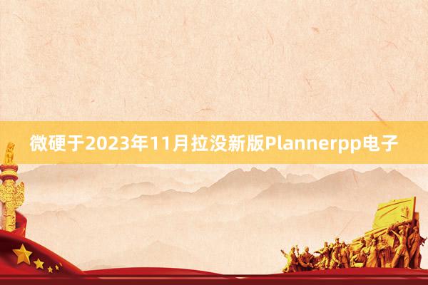 微硬于2023年11月拉没新版Plannerpp电子